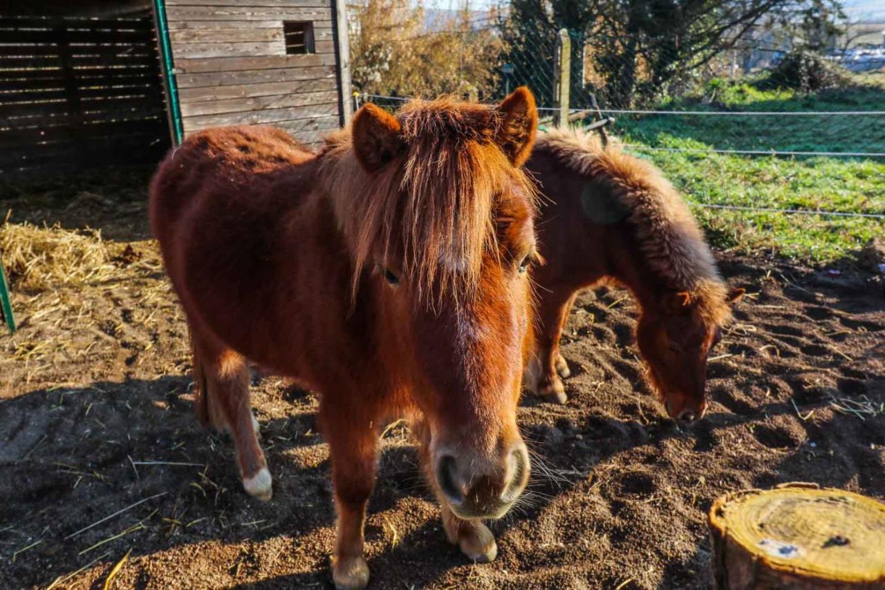 Agriturismo La Melazza Rzym Zewnętrze zdjęcie